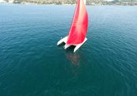 rød spinnaker-gennaker hvid trimaran sejlbåd blå hav
